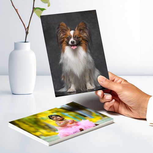 labdata/nexaprint/assets/productmainImg/1712739935534.jpg